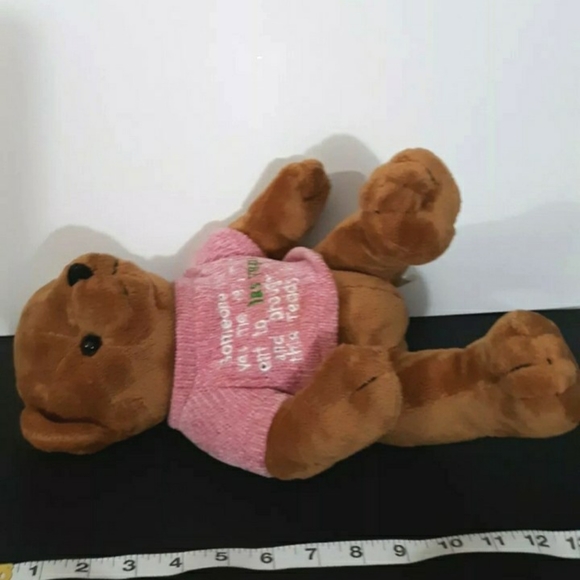 Vtg 10" Bear T Design Vegas Bear toy Stuffed Animal Animal tag's pink sweater - Picture 9 of 11